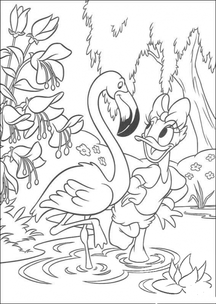 Daisy And White Egret  coloring page image