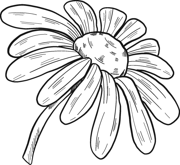 Daisy coloring page image