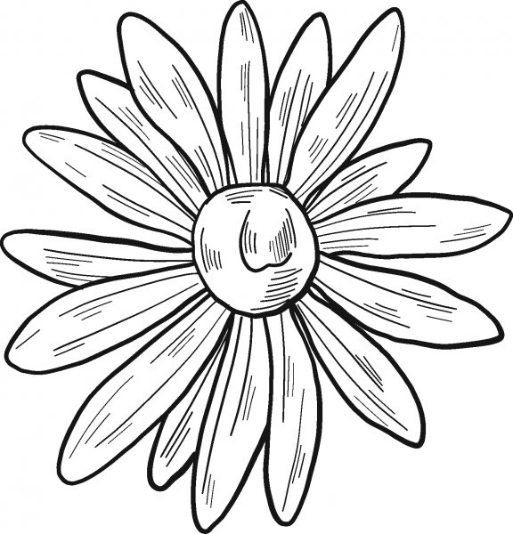 Daisy coloring page image