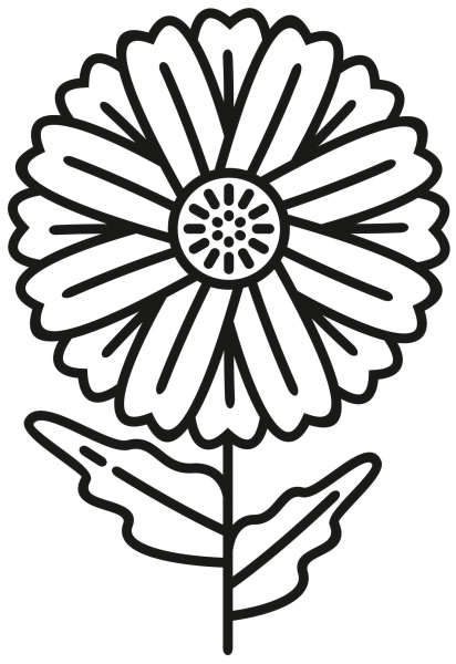 Daisy coloring page image