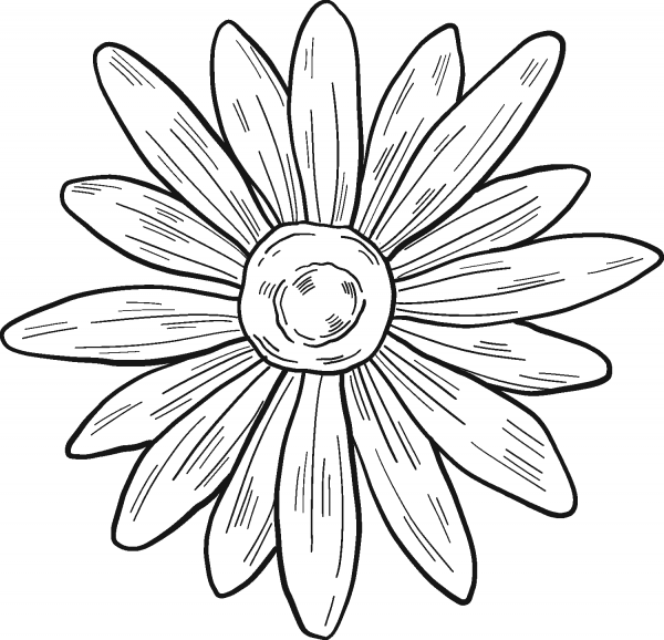 Daisy coloring page image