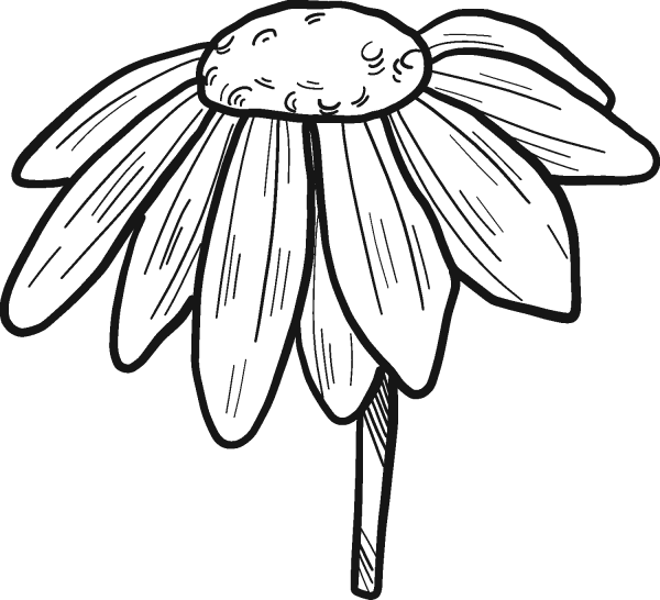 Daisy coloring page image