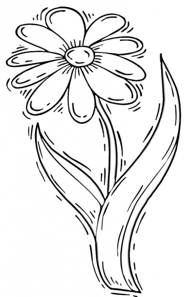 Daisy Flower coloring page image