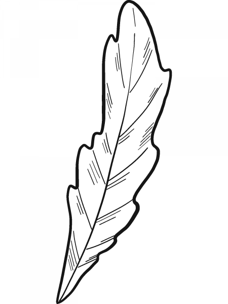 Daisy Leaf coloring page image