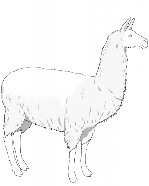 Dam Llama coloring page image