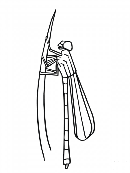 Damselfly coloring page image