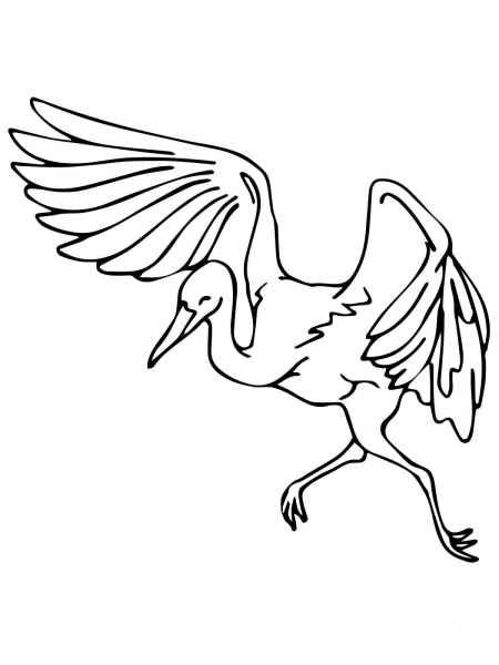 Dancing Heron coloring page image