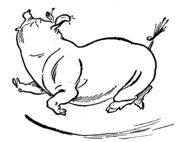 Dancing Pig coloring page image