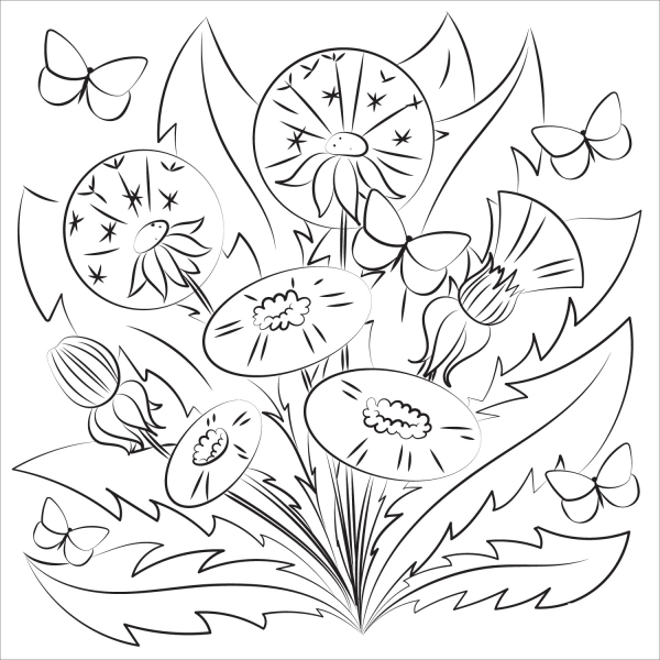 Dandelion coloring page image