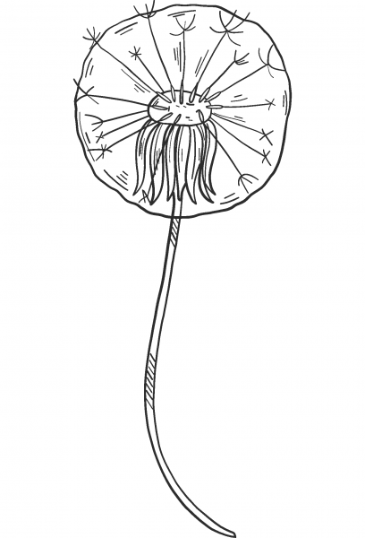 Dandelion Puff coloring page image