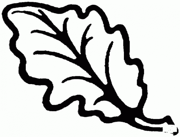 Dark Oak Leaf coloring page image