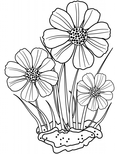 Decorative Flowers coloring page image