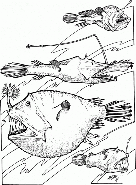 Deep Sea Angler Fishes coloring page image