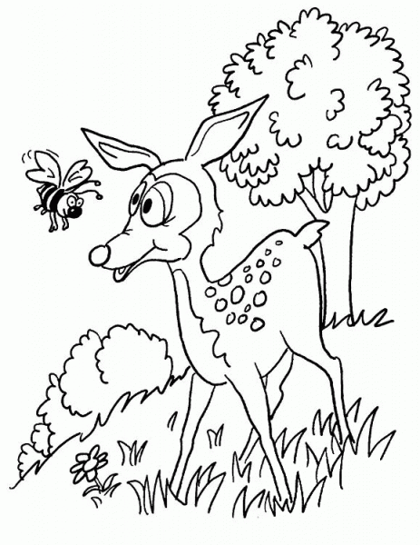 Deer And Bee coloring page image