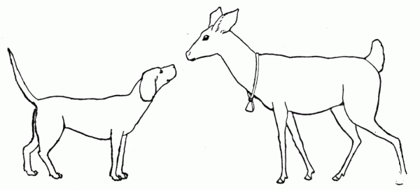 Deer and Dog coloring page image
