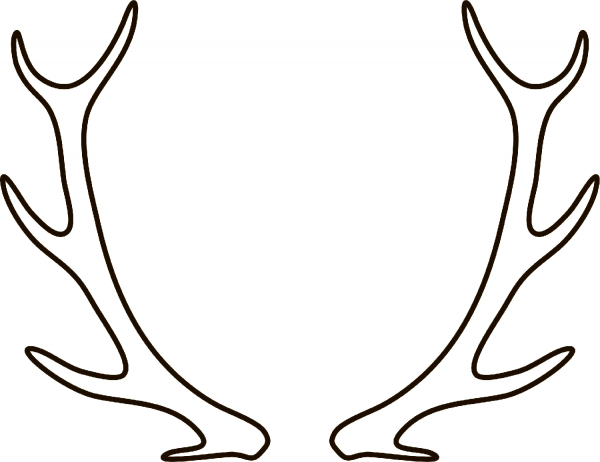 Deer Antlers coloring page - ColouringPages
