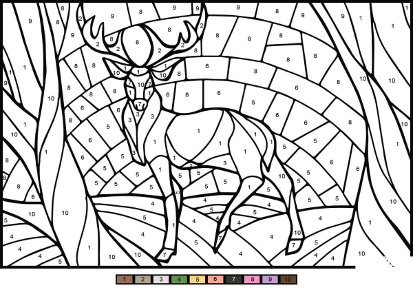 Deer Color by Number image