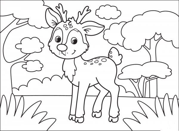 Deer coloring page image
