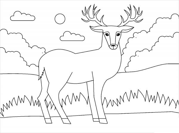 Deer coloring page image