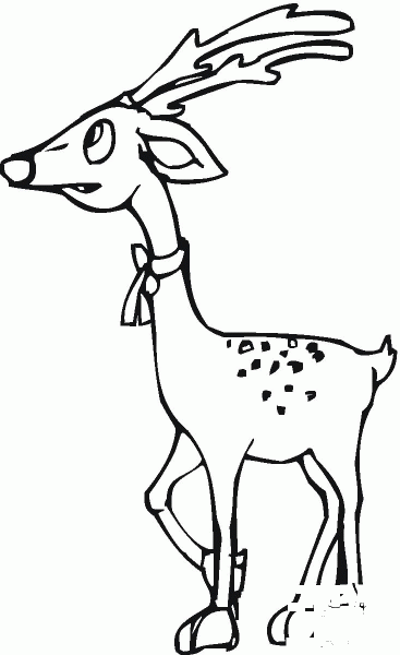 Deer coloring page image