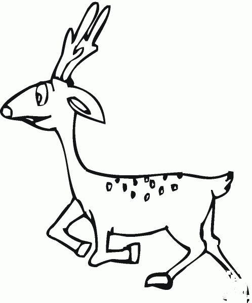 Deer coloring page image