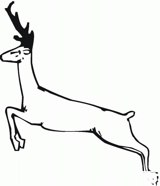 Deer Run coloring page image