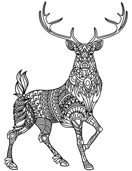 Deer Zentangle coloring page image