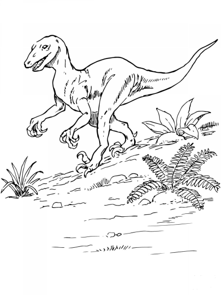 Deinonychus Dinosaur coloring page image