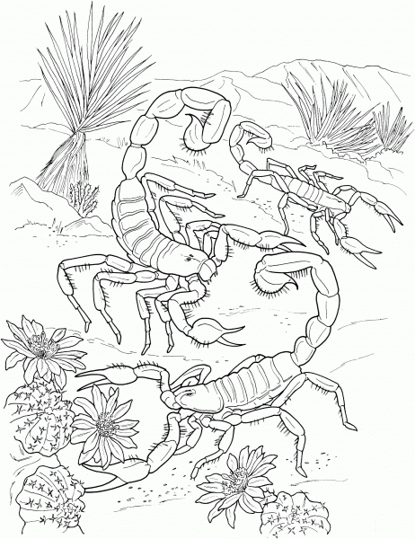 Desert Scorpions coloring page image