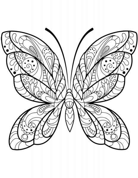 Detailed Butterfly Zentangle coloring page image