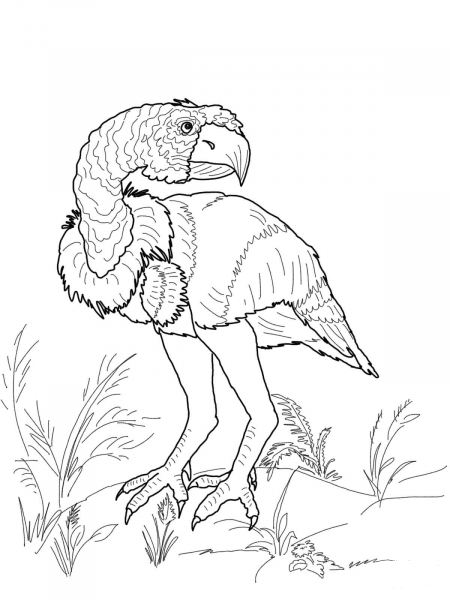 Diatryma coloring page image