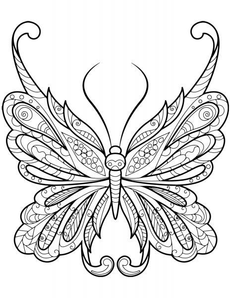 Difficult Butterfly Zentangle coloring page image