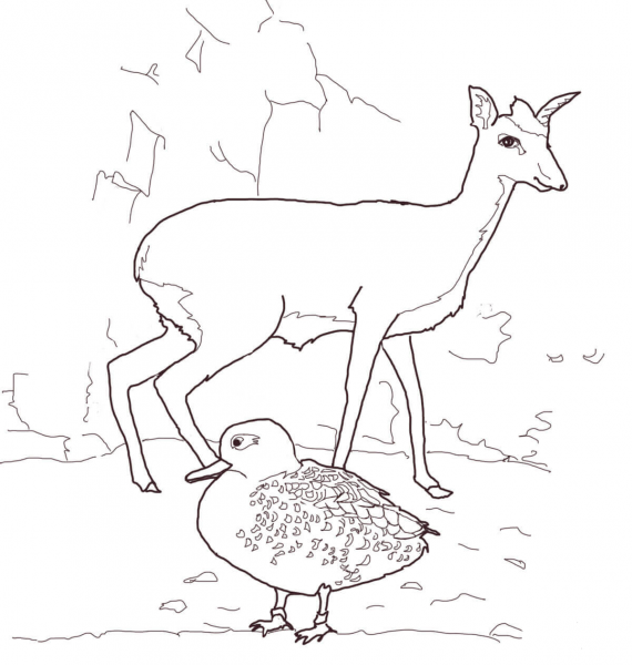 Dik Dik and Duck coloring page image
