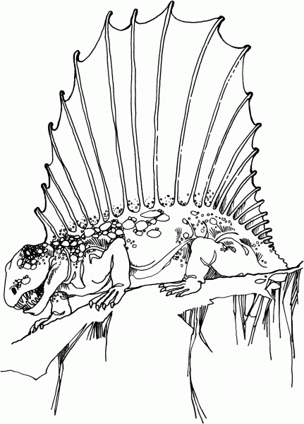 Dimetrodon Early Permian Synapsid coloring page image