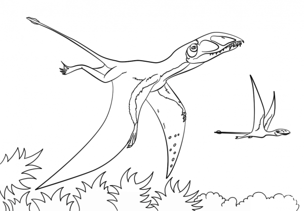 Dimorphodon coloring page image