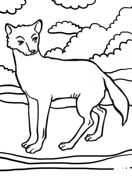 Dingo Dog coloring page image