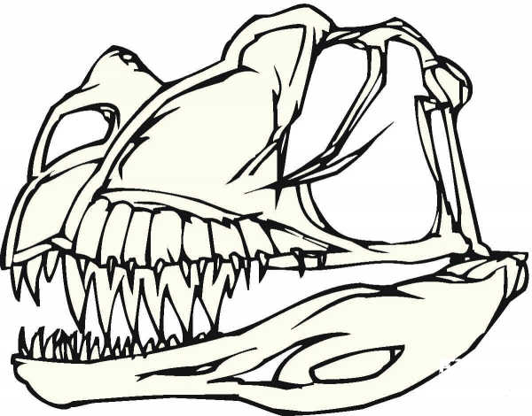 Dinosaur Bones  coloring page image