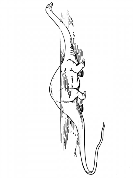 Diplodocus Dinosaur coloring page image