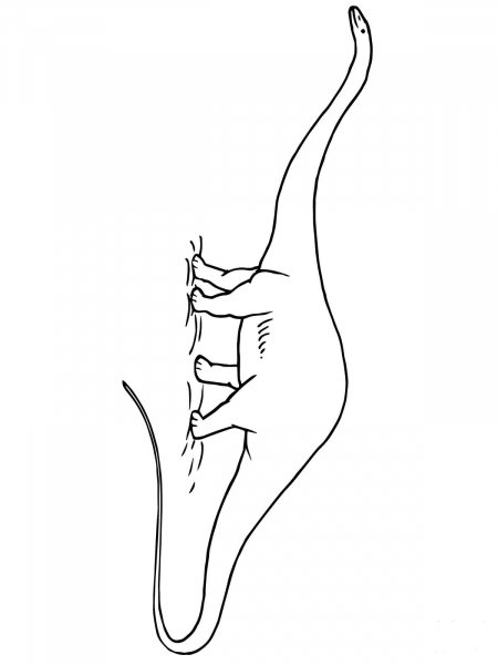 Diplodocus Jurassic Dinosaur coloring page image