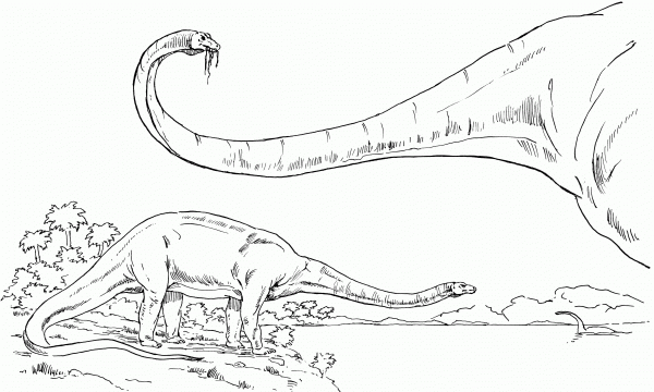 Diplodocus Sauropod Dinosaur coloring page image