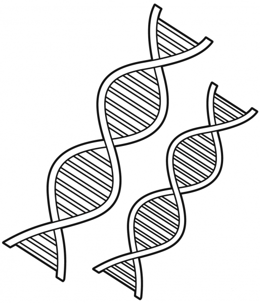DNA coloring page image