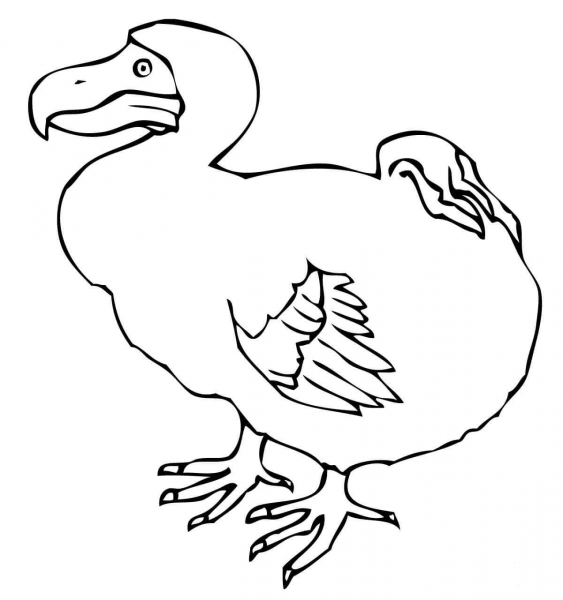 Dodo Bird coloring page image