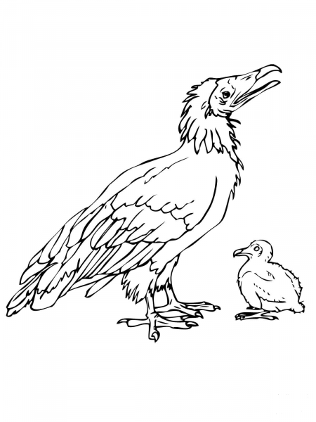 Dodo Bird with Chick coloring page image