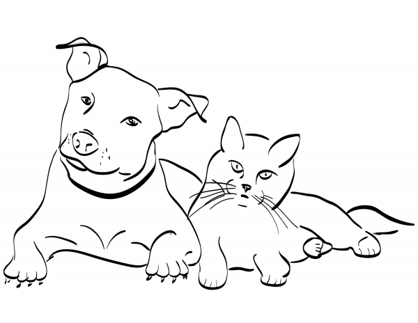 Dog and Cat coloring page image