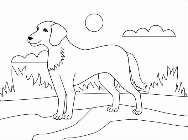 Dog coloring page image