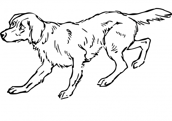 Dog coloring page image