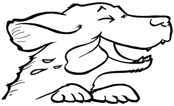 Dog Hanging Its Head out the Window Enjoying the Breeze coloring page image