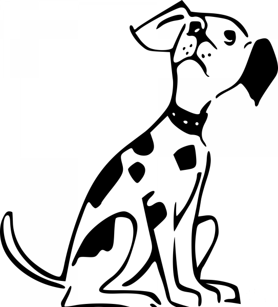 Dog Looking coloring page image