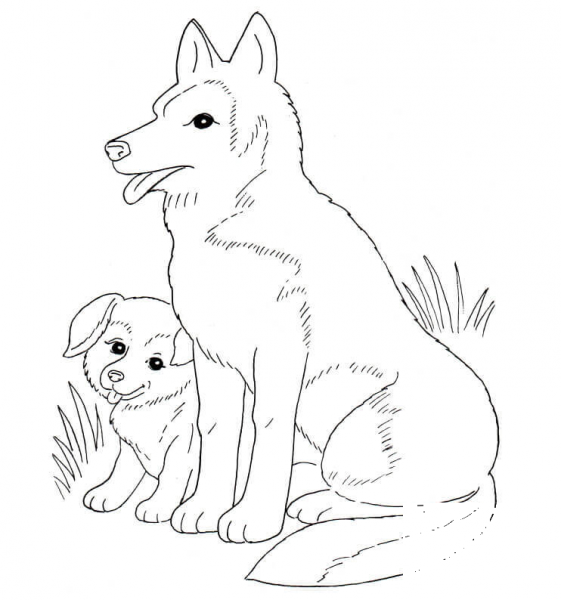Dog Mother And Puppy coloring page image
