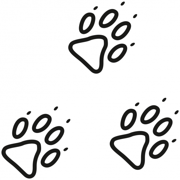 Dog Paw Prints coloring page image
